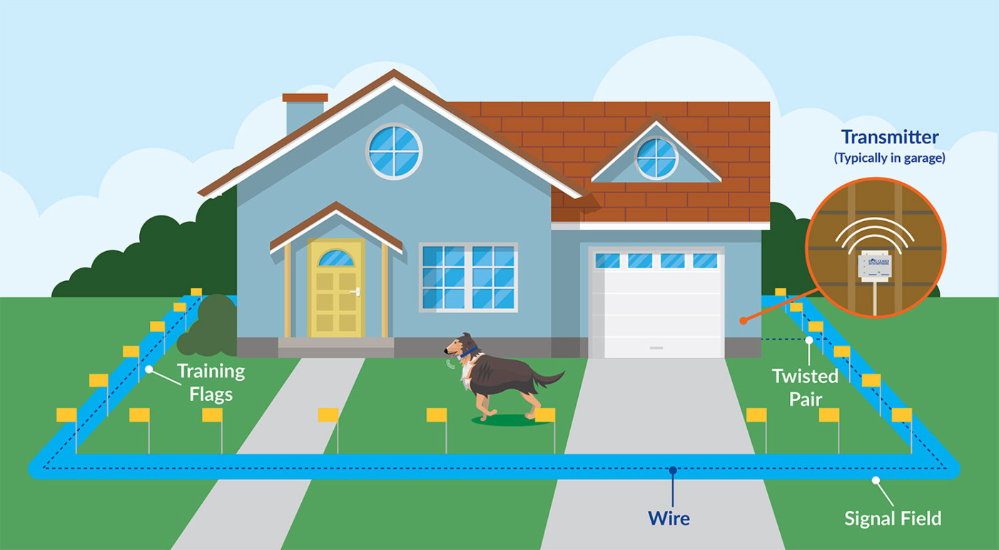 Dog Guard Yard Illustration